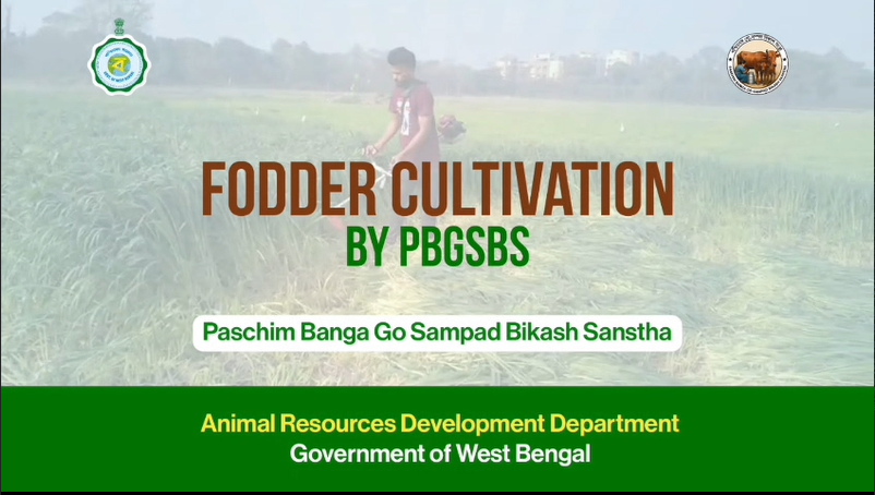 Fodder Cultivation by PBGSBS
