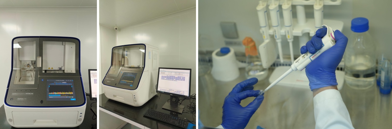 SeqStudio™ 8 Flex Genetic Analyzer