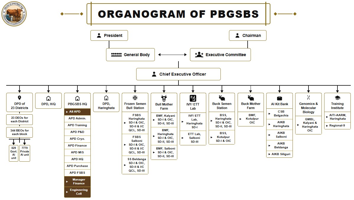 Organogram of PBGSBS